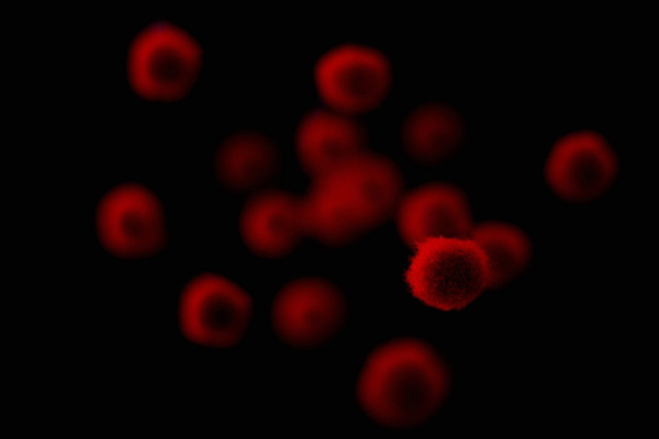 専門家が解説「新型コロナウイルスは常に変異し続けている」