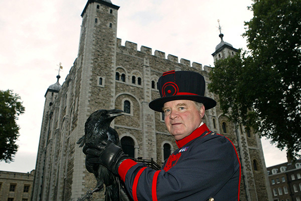 ロンドン塔の“カラスの女王”が姿くらます