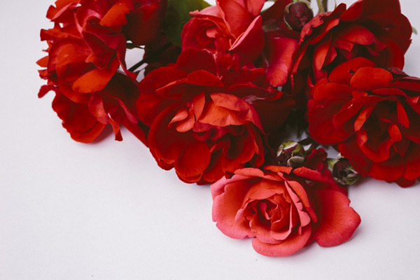 イケメン度は瓜二つ！斎藤工×中島健人が語るお互いのセクシー