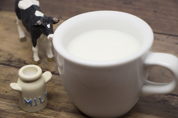 睡眠不足解消に効果あり？ホットミルク飲むとなぜ眠くなる