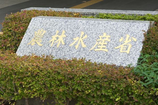 政府構想も頓挫の「お肉券」が“和牛給食”に姿を変えていた！