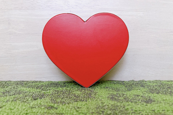 SixTONESジェシーの「カラダの秘密と自己採点」は？