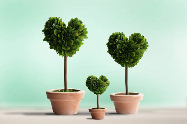 SixTONES森本慎太郎の「カラダの秘密と自己採点」は？