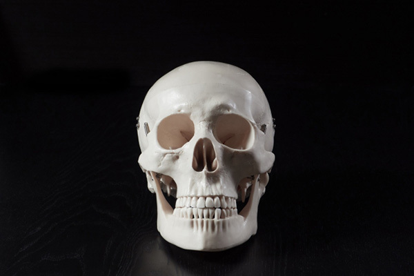 視力の低下の一因に「頭がい骨」のゆがみ…専門家が指摘