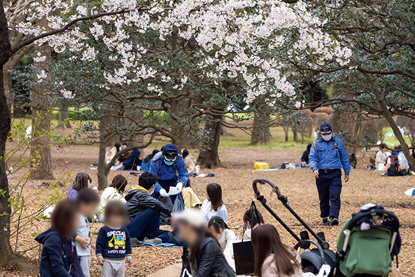 リバウンド回避できる？新しい「お花見」様式の現場写真13