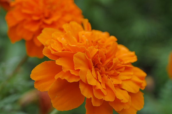 ジャニーズWEST 7周年！桐山照史の7にまつわる裏話