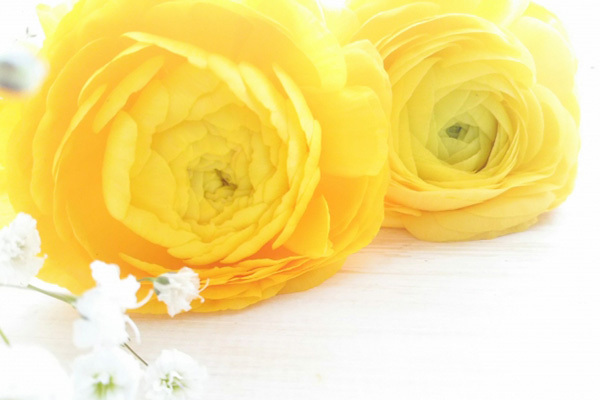 ジャニーズWEST 7周年！中間淳太の7にまつわる裏話