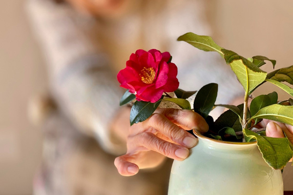 一生賃貸派が急増！高齢者でも入居できる賃貸住宅の見つけ方