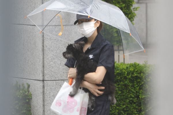 5月下旬、愛犬を抱いて動物病院へと向かう米倉