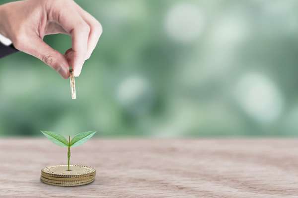 iDeCo初心者におすすめ！FP推薦の“増える”商品＆組み合わせ