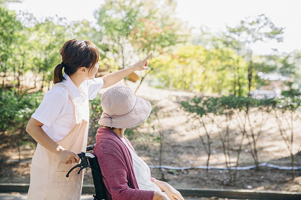 多くの女性が直面！遺族年金生活を支える公的な支援制度