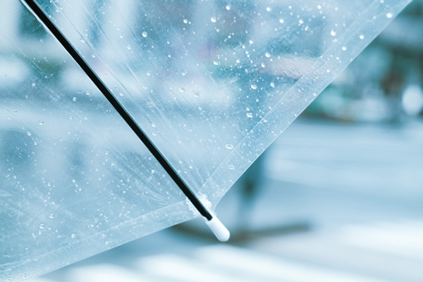 きゅうりは2倍近くの価格に！“早梅雨”で野菜価格が高騰