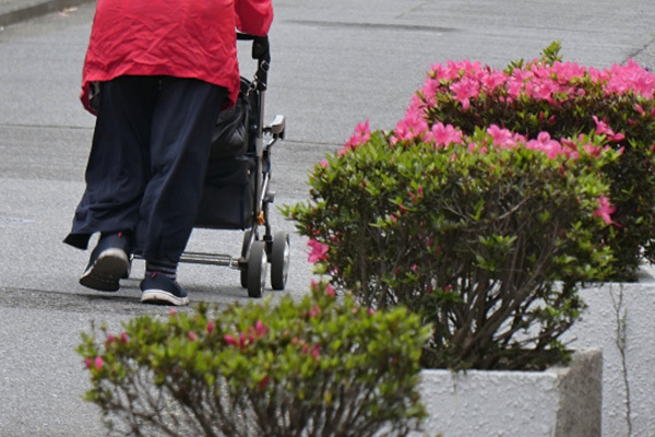 税金、保険料は別…ねんきん定期便の年金額で人生設計は危険