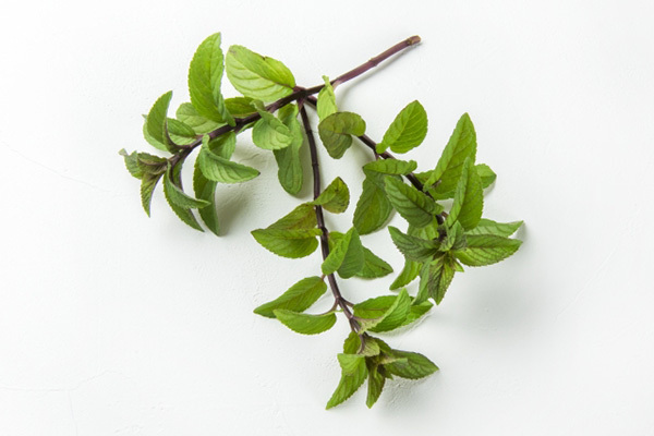 夏の食欲不振、消化不良におすすめのハーブ3選