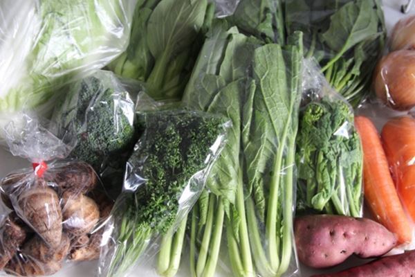 5年で1000万円貯めた主婦が「食材まとめ買い」のコツを伝授