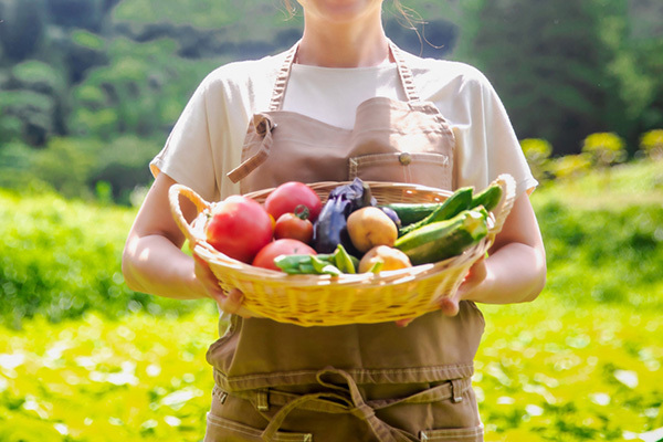 「田舎暮らしの夢破れ1千万円が消えた」老後破綻の落とし穴
