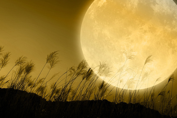 King＆Prince5人に聞く！「アイラブユー」を自分流に訳すと？