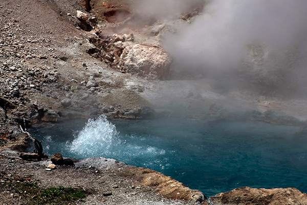 愛犬を救うため熱湯の泉に飛び込んだ女性が意識不明の重体