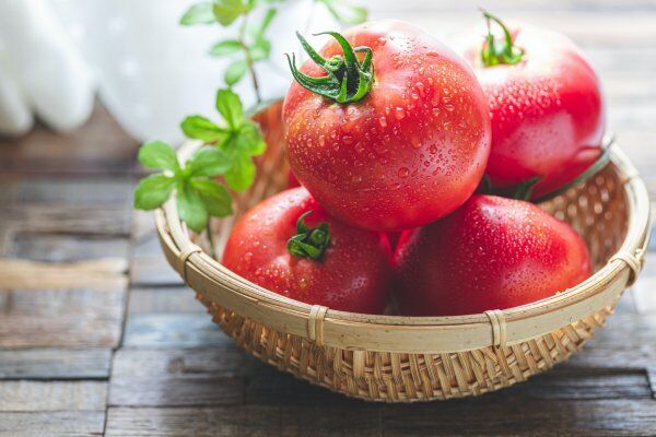 抗酸化作用があるリコピンを多く含むトマトは朝に食べるのがオススメ