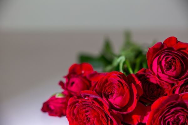 バチェラー4「脱落者復活の変化球エンド」予想がSNSで話題