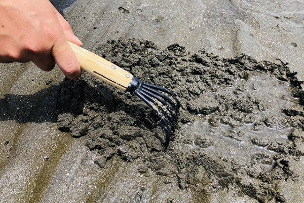 アサリだけじゃない…「国内産」のイメージが独り歩きする食材