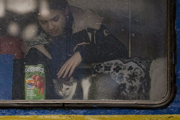首都キエフから脱出する列車の中で、飼い主と出発を待つネコ（写真：AP／アフロ）