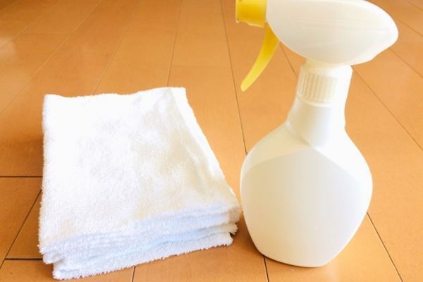 室内でほうきはNG！　コロナ過に知りたい病気にならない掃除術