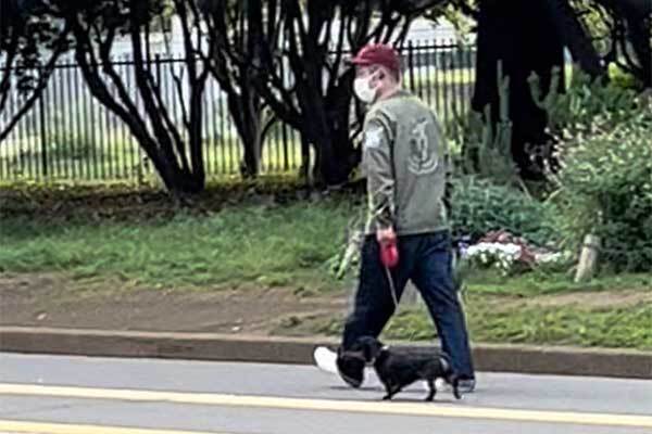 ハライチ澤部「実はめちゃしんどい」“散歩職人”のリアル散歩姿目撃