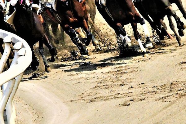 インジョンじゃい　競馬で6400万円大当たりも高額徴税で破産…制度に「国税局と言う名の暴挙」と怒りの声