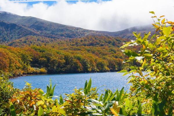 秋田の星空絶景宿が1泊1000円に！「県民割」よりお得な「市区町村割」