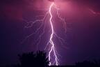 カリフォルニア州で1日に5万4千回超の落雷…雷に打たれた女性と犬2匹が死亡