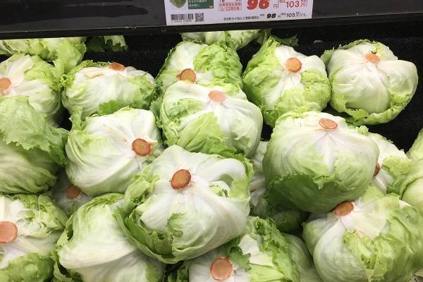 一玉10円で爆安！物価高を乗り越える1食180円レタス料理