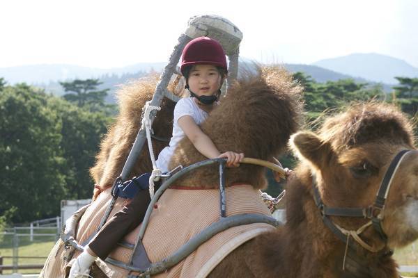 愛子さま　ご静養先でラクダに！夏の秘蔵写真で振り返るご成長20年