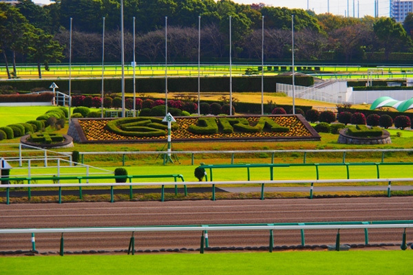 「競馬場はゴミ捨て場じゃない」話題呼ぶ騎手の提言にJRAが回答「少しずつ改善されている」