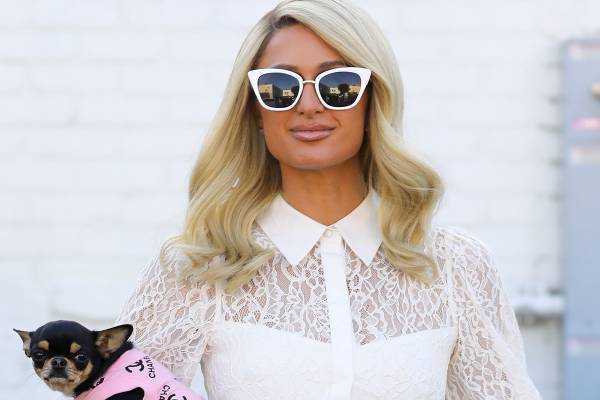 パリス・ヒルトン　愛犬探しに「ペット霊能者」の協力仰ぐ