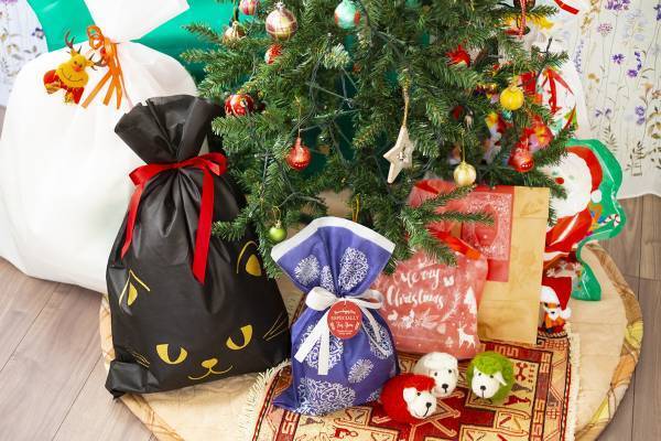 なにわ男子・長尾謙杜「駐車券をなくさない大人になりたい」