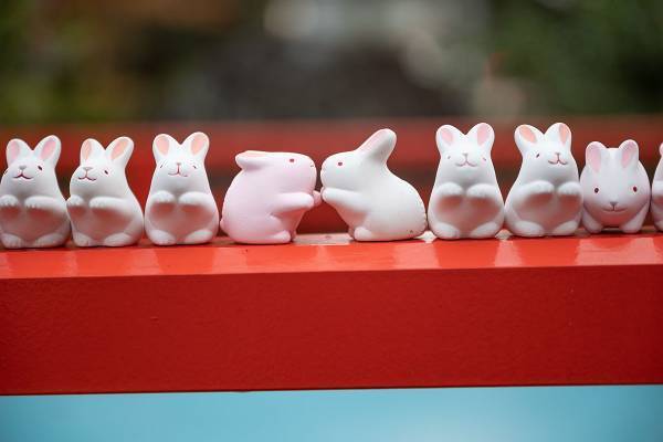 2023年の干支・卯にあやかって、 全国「うさぎ参りができる」おすすめ神社5