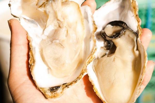 木村拓哉　視聴者驚愕！『ホンマでっか』で明かした“伝説の主演ドラマ”の裏側