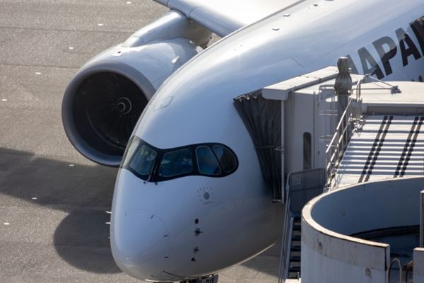 JALセールが接続障害で中止に、1週前のANAセール「使えばよかった」後悔する人続出