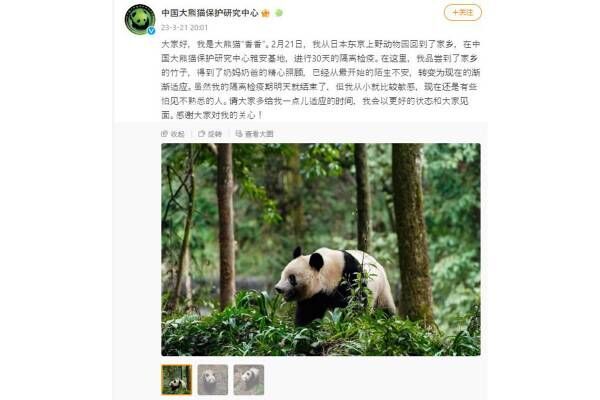 中国大熊猫保护研究中心のWeiboより