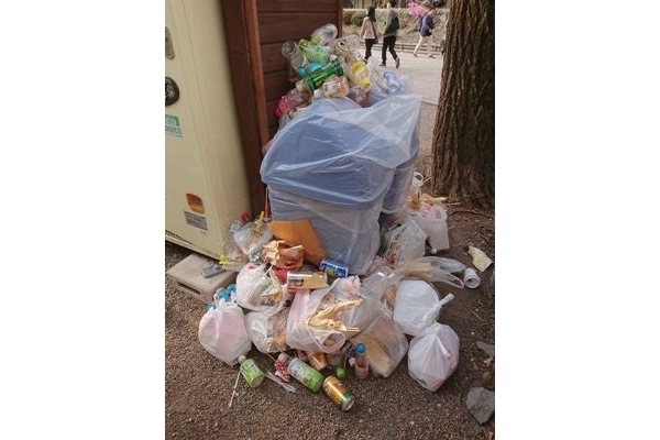「神社はゴミ捨て場ではありません」神社が桜まつりでのポイ捨てに喝！主催者も「はっきり言って残念」