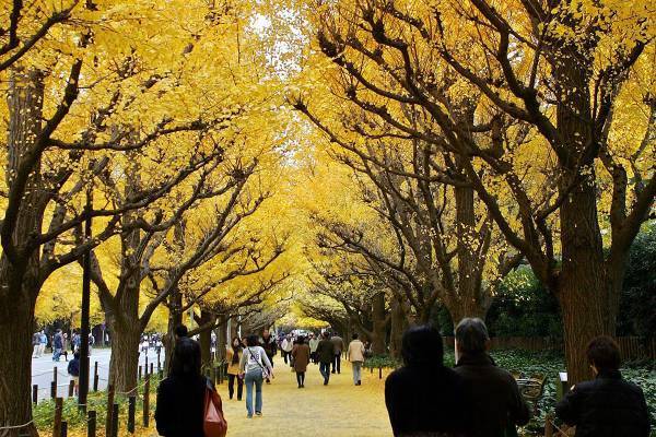 元日本代表平尾剛さんが危惧「“ラグビーの聖地”の消失で文化の継承が止まってしまう」