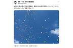 「生態系が狂う」カモミールの種を風船で飛ばした小学校が波紋…環境省の見解は