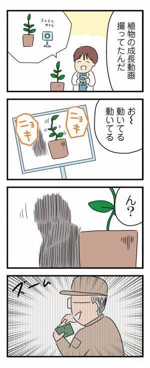 人間まおの「ヒトコワ実話」6コワ目　植物成長カメラが捉えていたまさかの瞬間