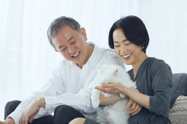 “飼育放棄”の8割超が高齢の飼い主…深刻化するペットの置き去り