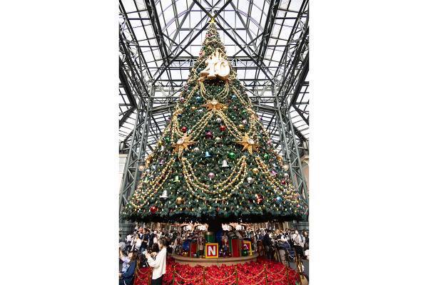 40周年特別仕様のディズニー・クリスマスをディズニー大好き芸人が解説