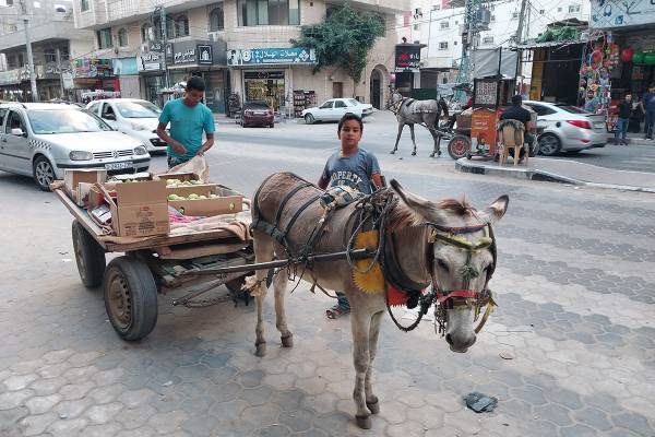 【後編】ガザ爆撃で病院に搬送された子供が自分の子で…帰国の日本人看護師が見た惨状