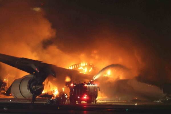 JAL機炎上でペット犠牲受け「同伴搭乗」求める声が加速…“貨物扱い”禁止を求める署名は2日で1.6万人超え