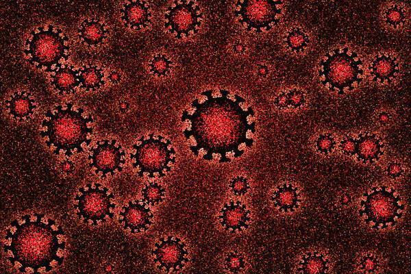 理研・京大の研究チームが発表―コロナ既感染　累計4千万人全員に心不全のリスク