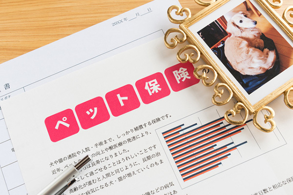 黒船アマゾン参入で業界が激変！保険のプロが選んだ最新「ペット保険」ベスト3